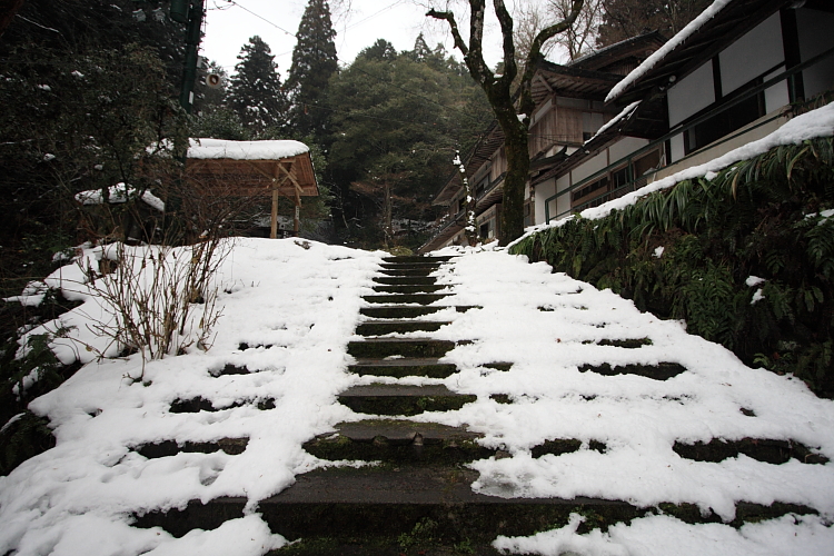志明院_e0051888_23533318.jpg