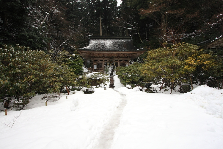 志明院_e0051888_23535780.jpg