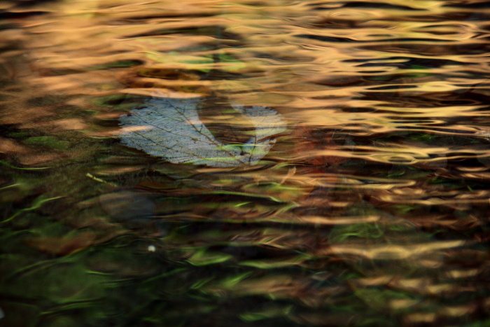 水のキャンバス in 大見石畳公園_e0135098_18453556.jpg