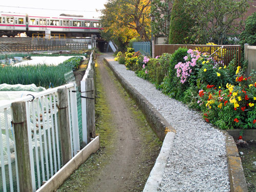 c0163001_0103314.jpg