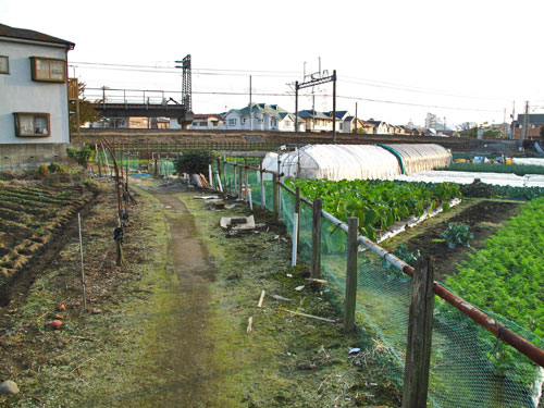 c0163001_013626.jpg