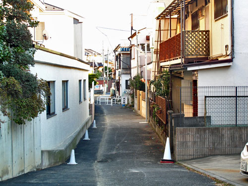 c0163001_0155792.jpg
