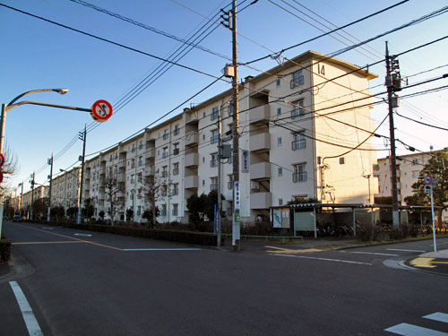 c0163001_061795.jpg