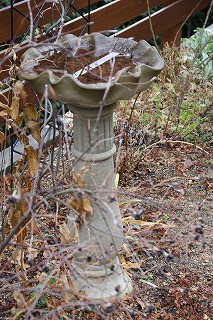 a0123003_9533711.jpg