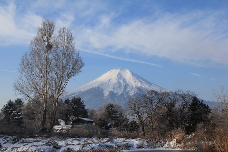 忍野のポプラ池_a0188405_753771.jpg