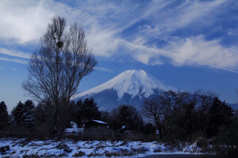 忍野のポプラ池_a0188405_7555665.jpg