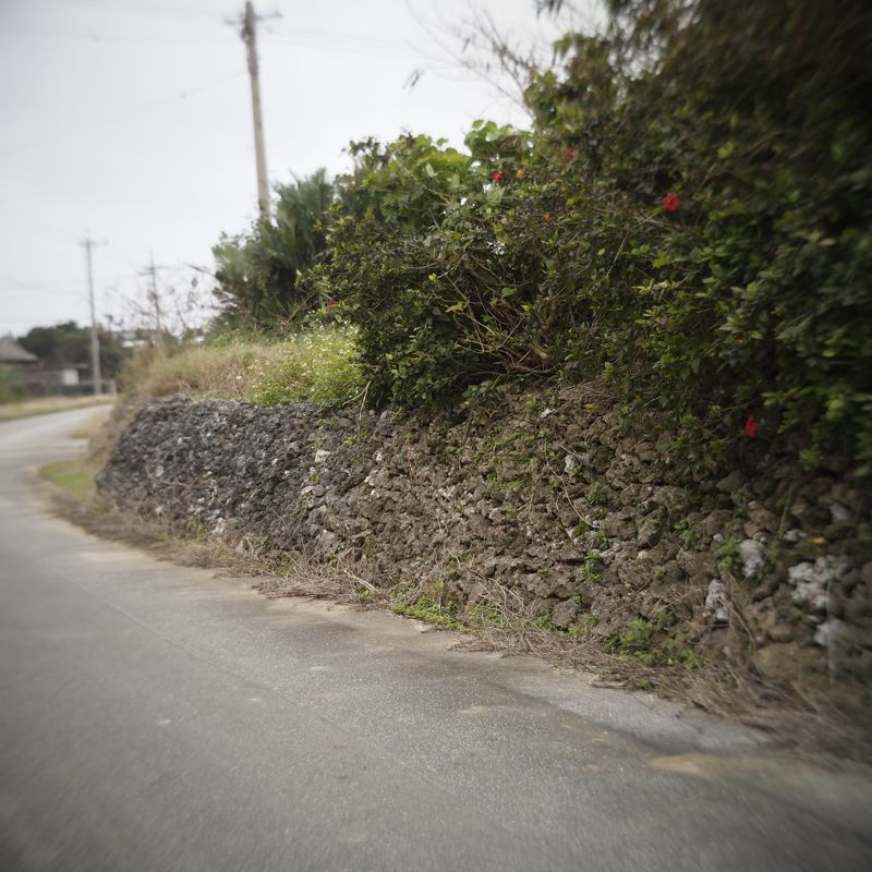 にっぽん集落町並み縦走紀行 第1日_d0147406_1253418.jpg