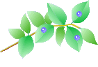 f0231709_752777.gif