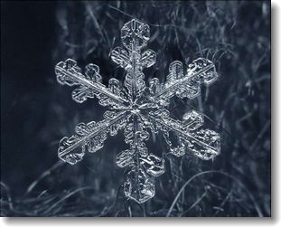 雪の結晶 Metamorphose