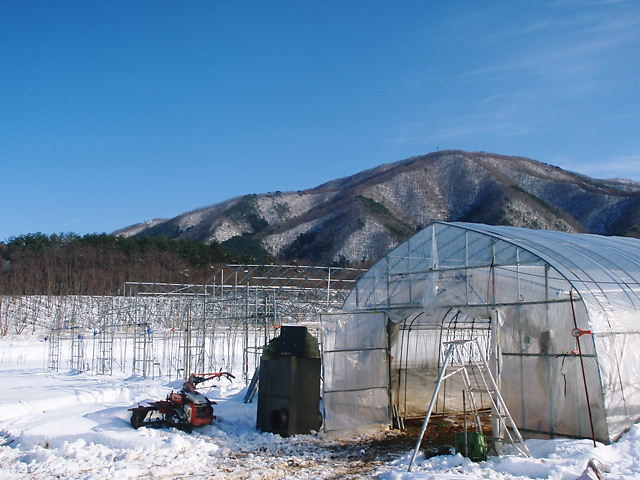 寒い冬が続きそう!_a0256619_21563447.jpg