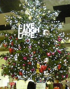 クリスマス飾り_b0242032_43110.jpg
