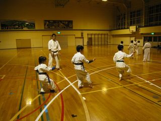 土曜は空手 審査前最終稽古!_c0118332_22303719.jpg