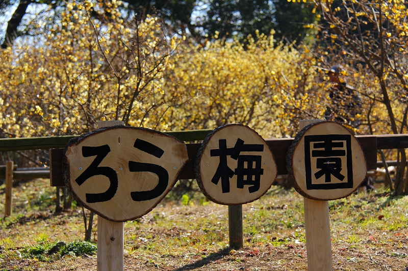 f0229832_10362214.jpg