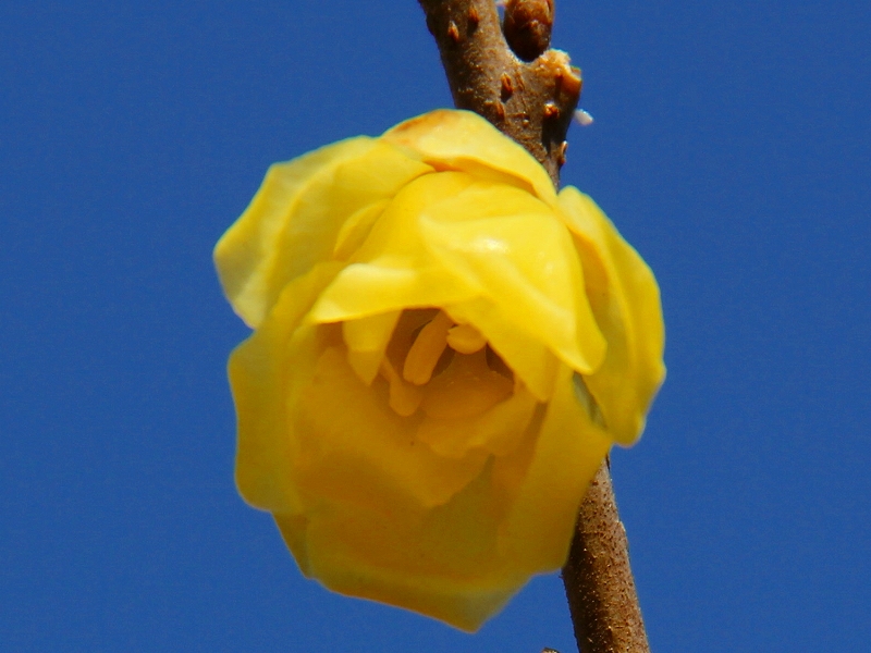 f0229832_1038126.jpg
