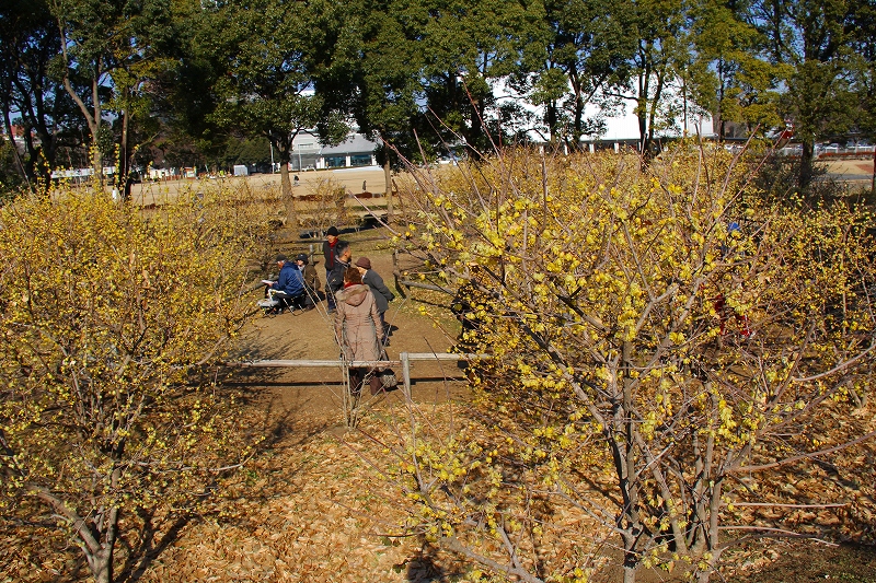 f0229832_103999.jpg