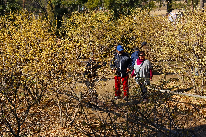 f0229832_1040394.jpg