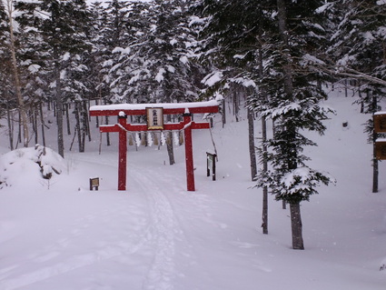 【120121】日光白根山登山報告　※またしても登れなかったけどね（泣_c0108034_21125941.jpg