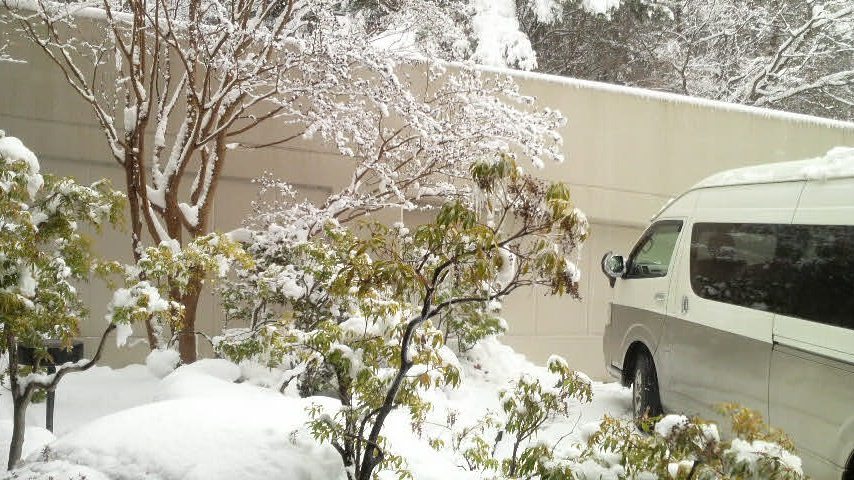 b0123736_1431642.jpg
