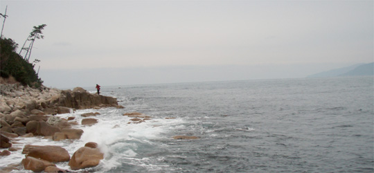 b0169939_927475.jpg