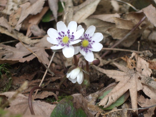 c0202242_1622476.jpg