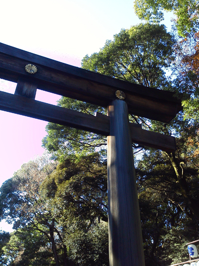 明治神宮へ。_a0143444_22522733.jpg