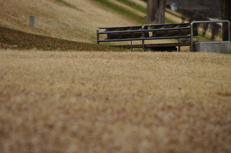 賀茂川スナップ．．．_f0152550_21221871.jpg