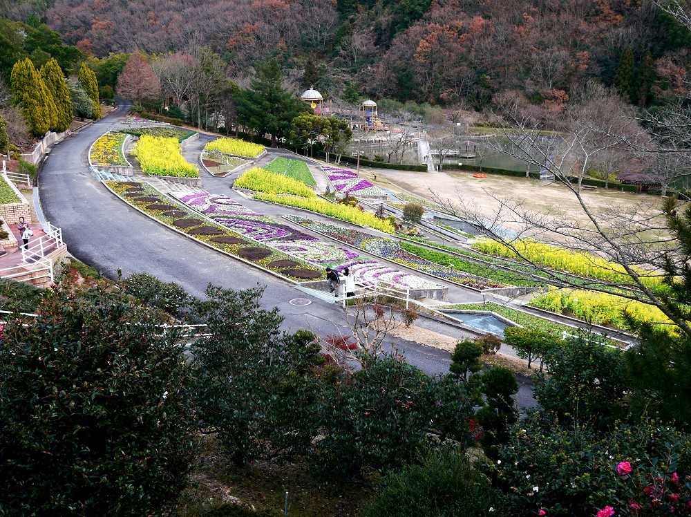　　和歌山県植物公園緑花センター　_b0093754_22303439.jpg