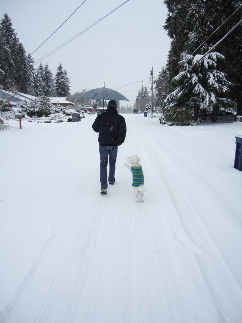 雪の中で犬とさんぽ。_d0172957_1443185.jpg