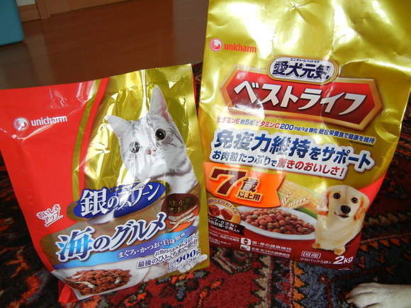 2012年1月21日(土)ユリカモメがいっぱい!_f0060461_16263858.jpg