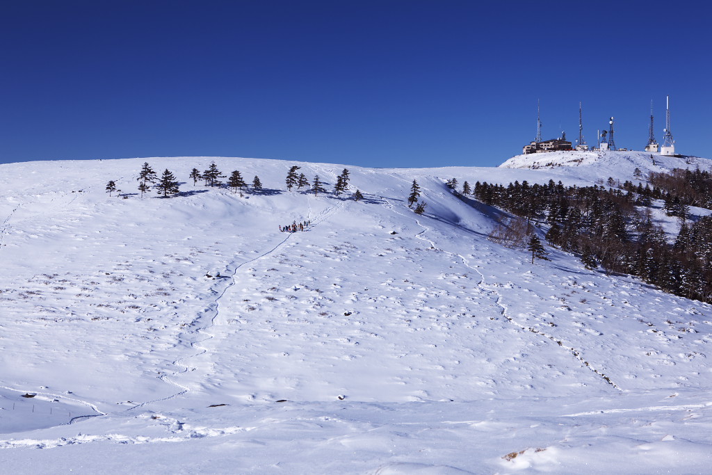 f0171065_2243197.jpg