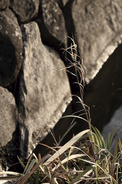 b0198768_034253.jpg