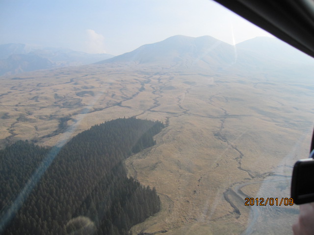 a0079474_18435523.jpg