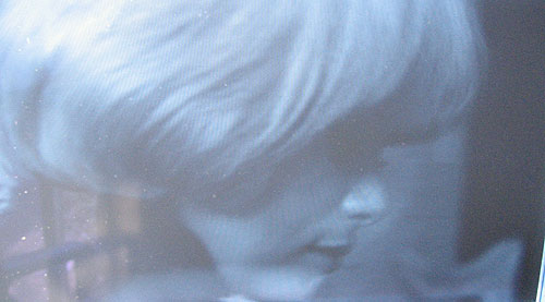 d0218585_1953872.jpg