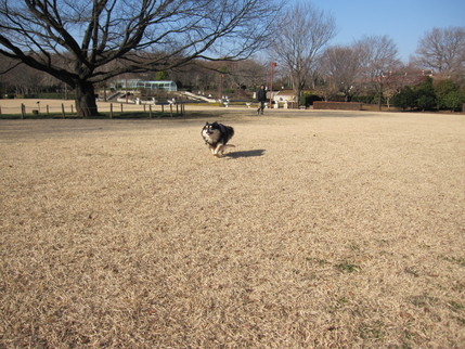 b0150088_934694.jpg