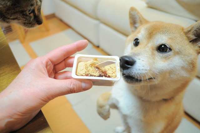 迷子になりませんように!_a0126590_629165.jpg
