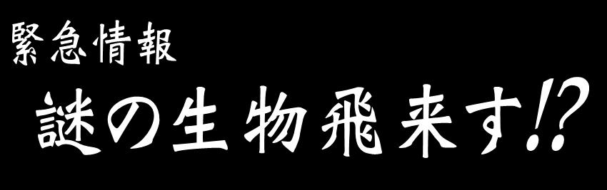 【緊急情報　謎の生物飛来す!?】_c0229591_12213828.jpg