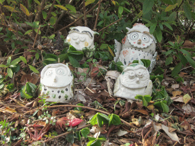 c0078592_1271718.gif