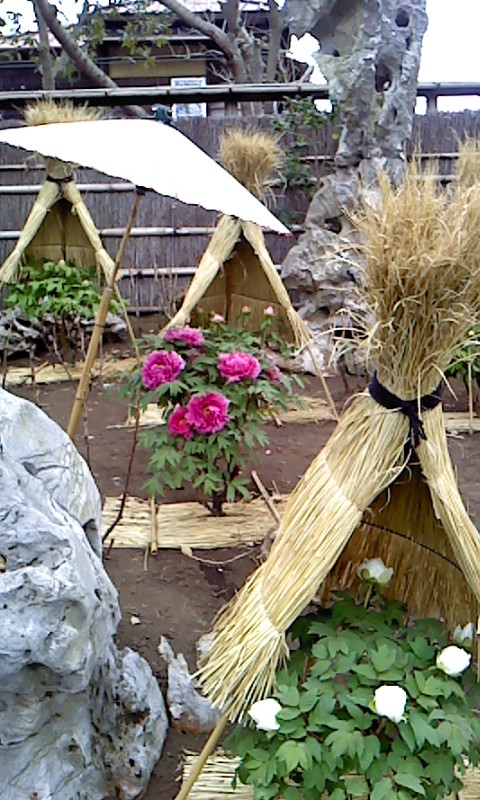 b0007895_15593343.jpg