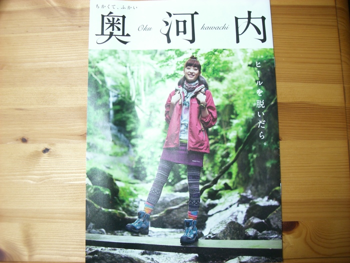 河内長野が好き!_a0233896_11462224.jpg