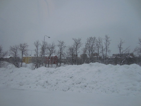 c0180096_2241357.jpg