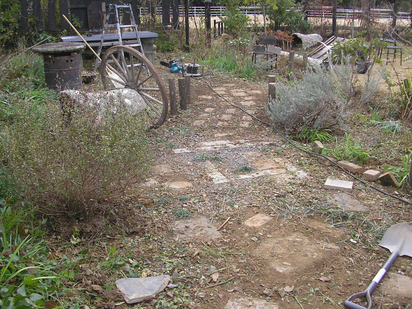 c0156104_22471444.jpg