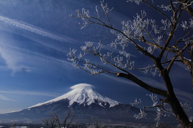 お気に入りの霧氷_a0188405_050469.jpg