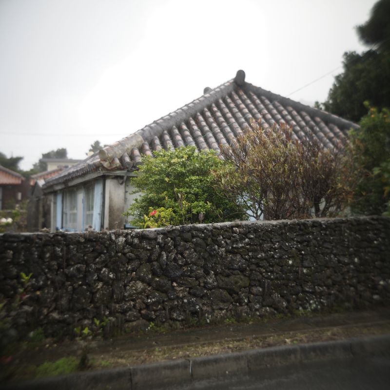 にっぽん集落町並み縦走紀行 第2日_d0147406_10221038.jpg