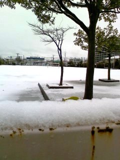 a0030217_1237208.jpg