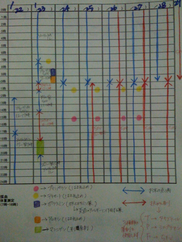 Tpf治療の手書きタイムスケジュール Macoのおつまみ日記