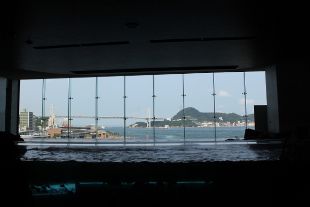 2011/07/25下関海響館のペンギン館_f0221023_1173172.jpg