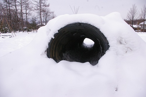 雪が降りました♪_b0174425_12105332.jpg
