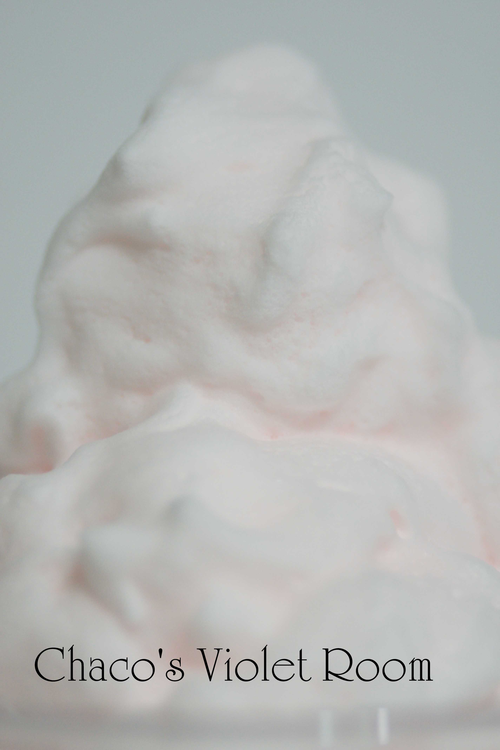 e0245625_22461195.png