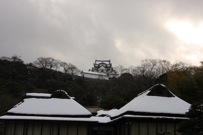 琵琶湖盆梅巡り －彦根城－_b0169330_9541638.jpg