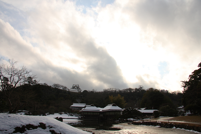 琵琶湖盆梅巡り －彦根城－_b0169330_9545995.jpg